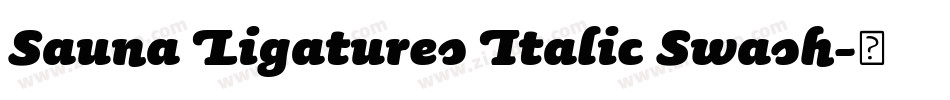 Sauna Ligatures Italic Swash字体转换